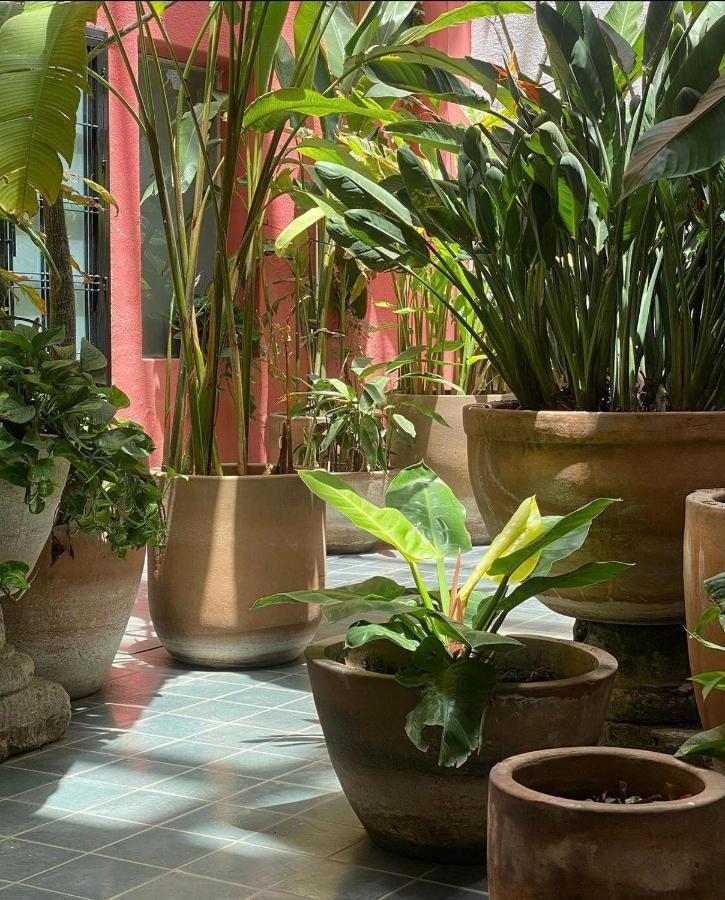 Meson San Felipe Aparthotel Guadalajara Bagian luar foto
